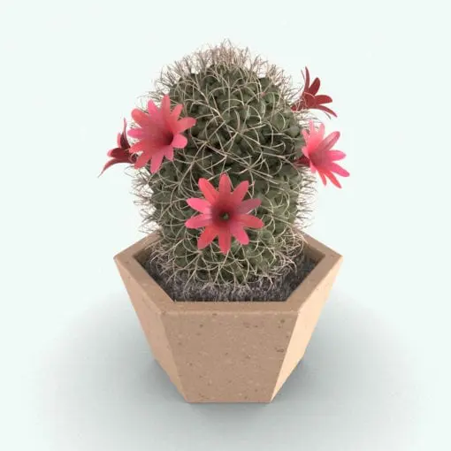 Rendered 3D Powder Puff Cactus plant in color, showing realistic textures and details.