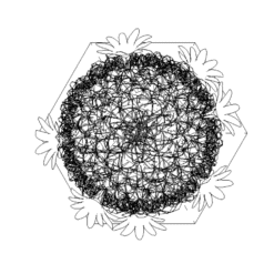 AutoCAD block, top view of the Cactus.