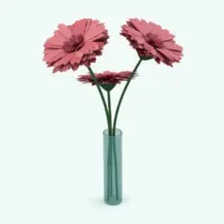 Barberton Daisy Revit Flowers Family rendered in Revit (no plugins). Ideal to add a touch of charm and livability to your spaces, our Revit flower families are the ideal solution to take your 3D renderings to the next level. Whether you get these flowers or any of our Revit plants, your projects will look great!