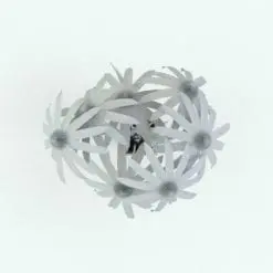 Black Eyed Susan Revit Flowers Family in top view and rendered in black and white (ambient occlusion style). Ideal for interior or exterior design projects, all our Revit plants are created with a hybrid technology that allows they to look realistic in any setting. Additionally, all our Revit plants include 3D Max, AutoCAD and Vray version so you can use them in different platforms.