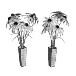 Revit Family / 3D Model - Black Eyed Susan 3D Max/FBX Wireframe