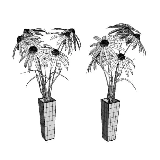 Revit Family / 3D Model - Black Eyed Susan 3D Max/FBX Wireframe