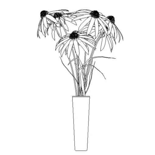 Revit Family / 3D Model - Black Eyed Susan - Revit and AutoCAD Front View