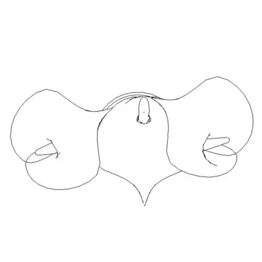 Revit Family / 3D Model - Calla Lilies - Revit and AutoCAD Top View