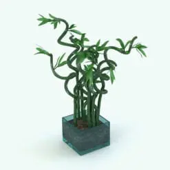 Curly Bamboo Revit Plant Family rendered in Revit using NO plugins (Vray). Ideal to add a touch of charm and livability to your 3D renderings, this Revit plant will make your projects stand out in just a few clicks. Don't let this opportunity pass and get this Curly Bamboo Revit Plant Family today.