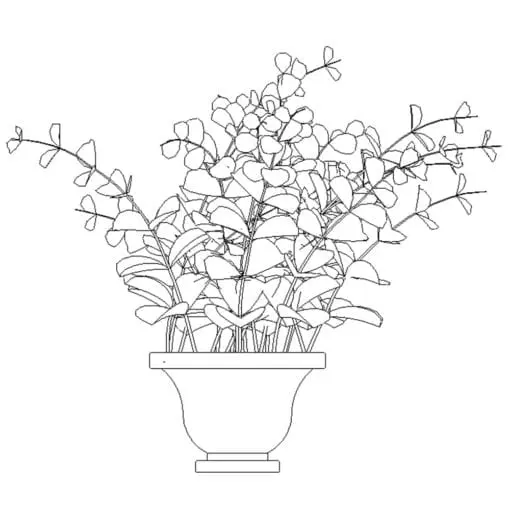 Revit Family / 3D Model - Eucalyptus - Revit and AutoCAD Front View