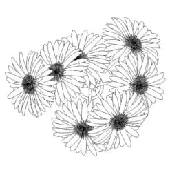 Revit Family / 3D Model - Gerberas - Revit and AutoCAD Top View