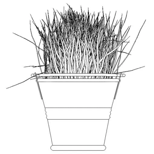 Revit Family / 3D Model - Grass in a Pot - Revit and AutoCAD Front View