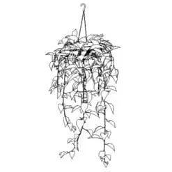 Revit Family / 3D Model - Hanging House Plant - Revit and AutoCAD Front View