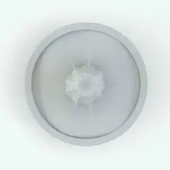 Palmeri Cactus Revit Plant Family in top view and rendered in black and white (ambient occlusion style) to showcase the details better. Ideal for interior or exterior design projects, this cactus Revit plant will transform your projects and make them look alive. Get it now and see for yourself.