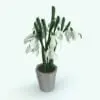 Snowdrop Revit Plant Family. Ideal for interior or exterior design projects, this and all our Revit plants are created with a hybrid technology that allows they to look realistic in any setting. Additionally, all our Revit plants include 3D Max, AutoCAD and FBX version so you can use them in different platforms.