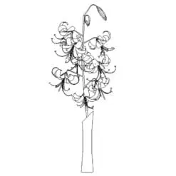 Revit Family / 3D Model - Tiger Lily - Revit and AutoCAD Front View
