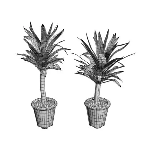 Revit Family / 3D Model - Yucca 3D Max/FBX Wireframe